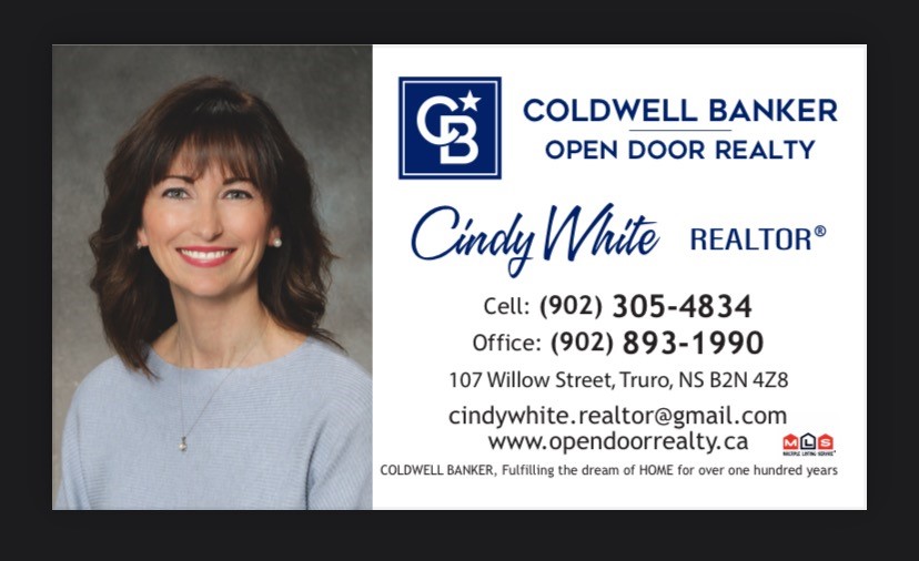 business realtor
